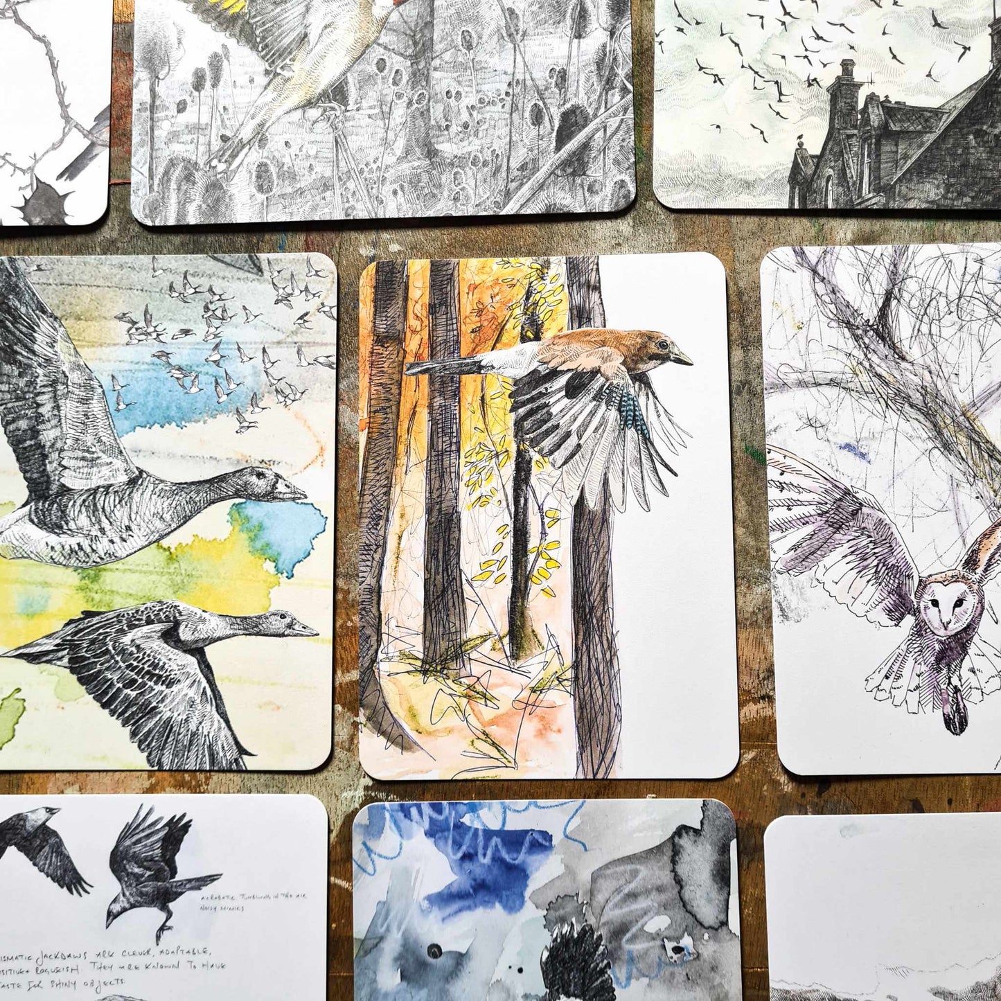 Into The Sky - 12 Postcards Pack