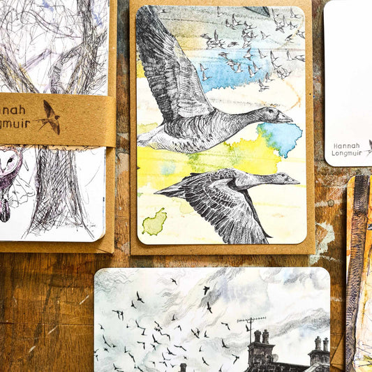 Into The Sky - 12 Postcards Pack