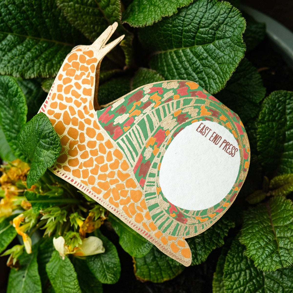 Snail Greeting Card
