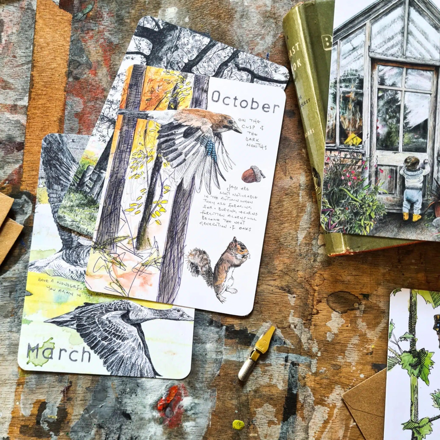 2026 Wild Months Pack - 12 Wildlife Postcards