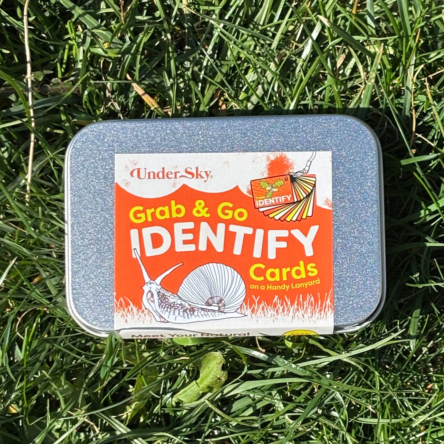 Grab and Go Activity Cards