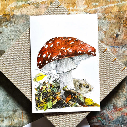 The Toadstool and the Vole
