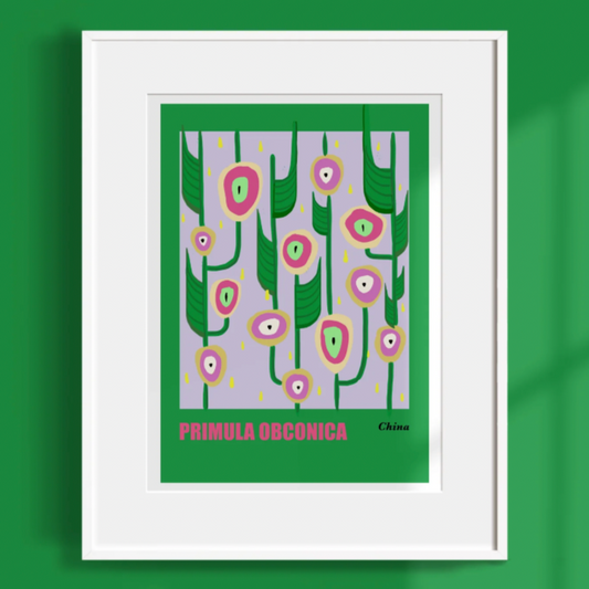 Primula Obconica Art Print