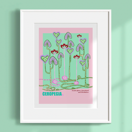 Ceropegia Art Print