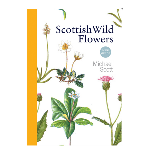Scottish Wild Flowers - Mini Guide