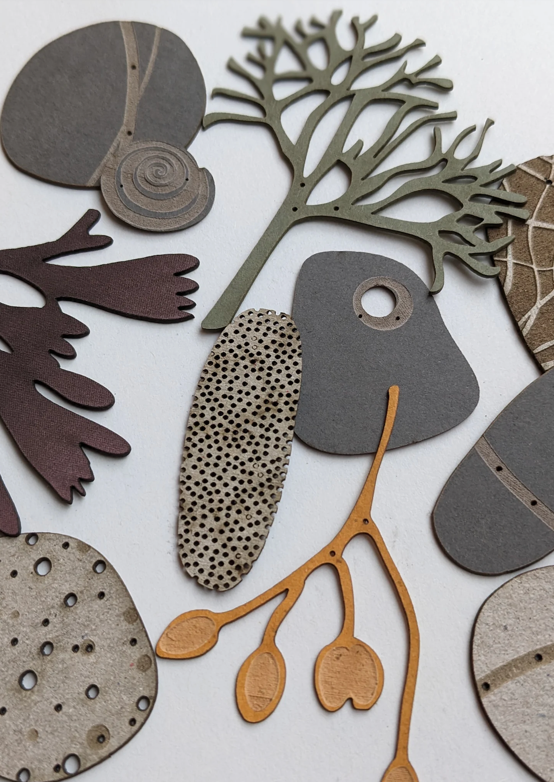 A selection of pebbles & seaweed shapes laser cut from natural colours of card and engraved with patterns and textures, plus holes for hanging.