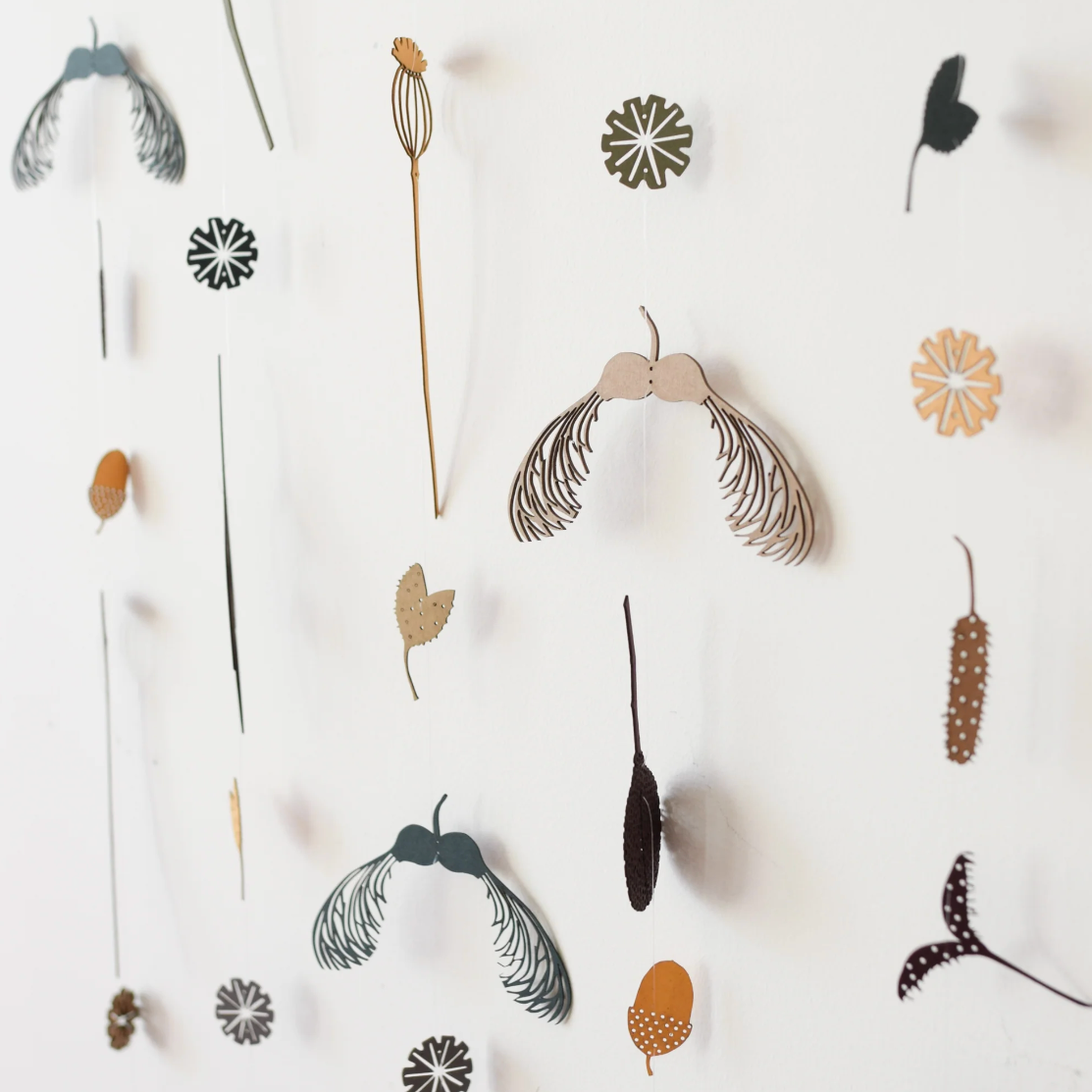 Tiny Treasures Collection of Paper Seeds & Pods