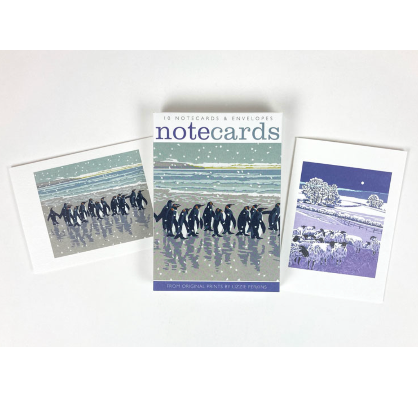Notecard Pack - Snowy Beach Kings & Flocks by Night