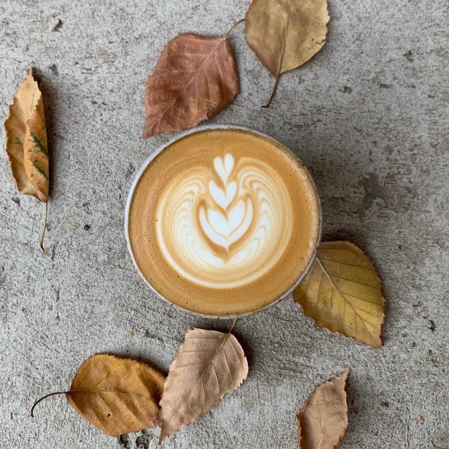 Faceted Flat White Cup - Oat & White