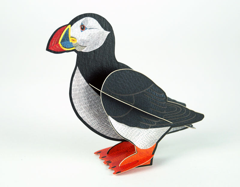 Pop Out Puffin
