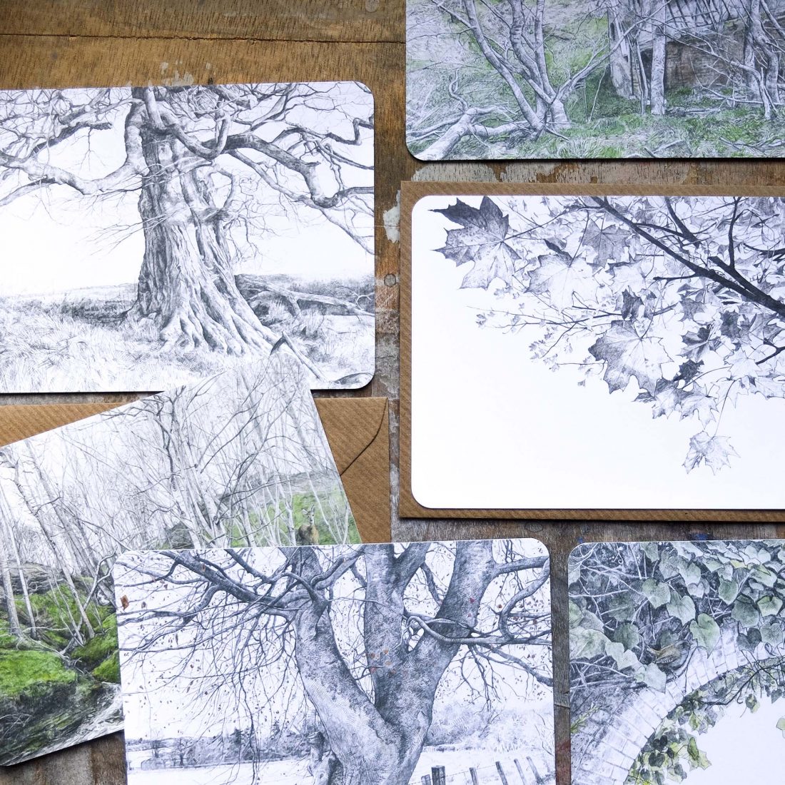 Postcard Pack - Into the Woods