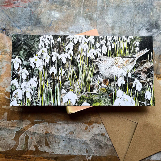 Snowdrops