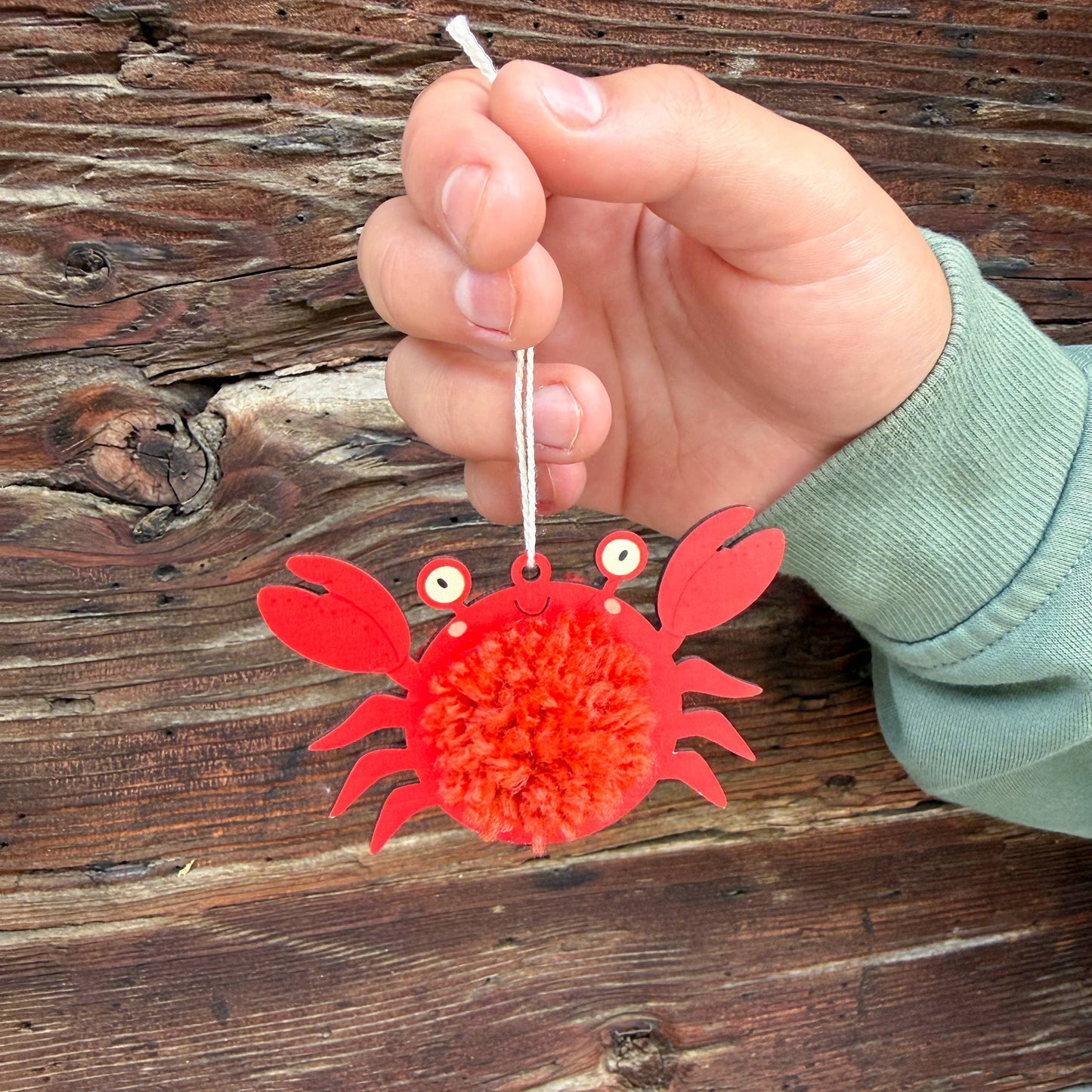 Pom Pom Crab Kit