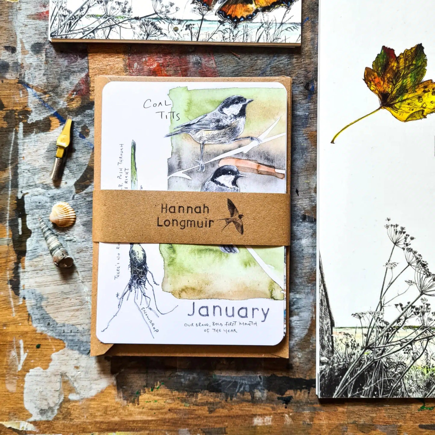 2026 Wild Months Pack - 12 Wildlife Postcards