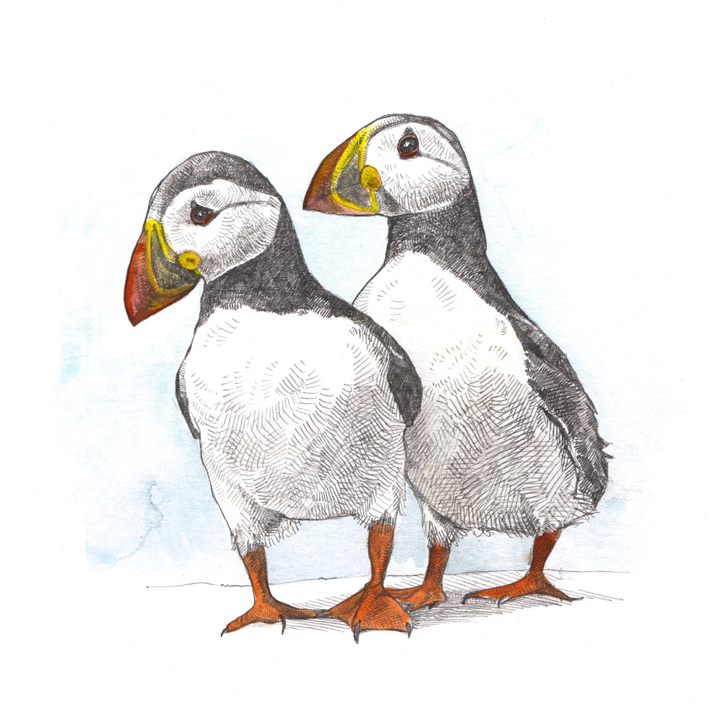 Perfect Pair Puffins Print