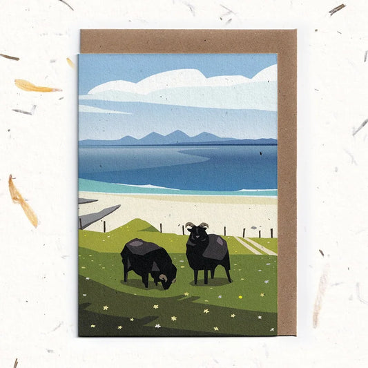 Ardalanish Sheep Greeting Card