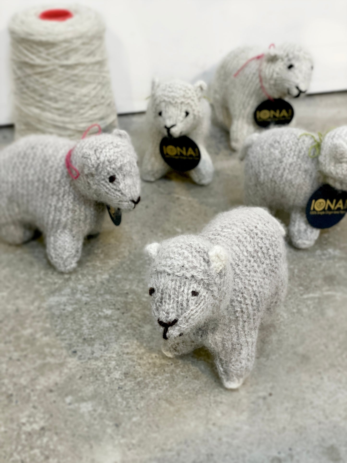 Iona Wool Lamb