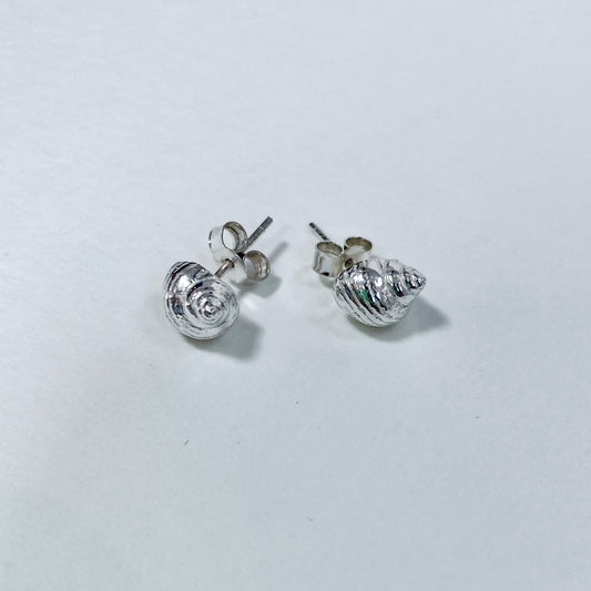Winkle Shell Studs