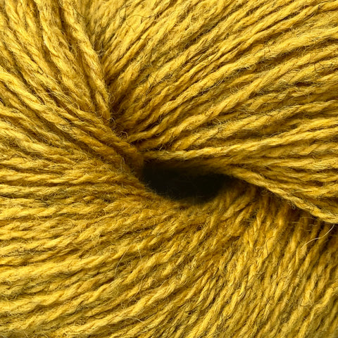 4 PLY - Lichen IW6