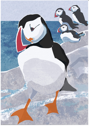 Nature Notebook - Puffin