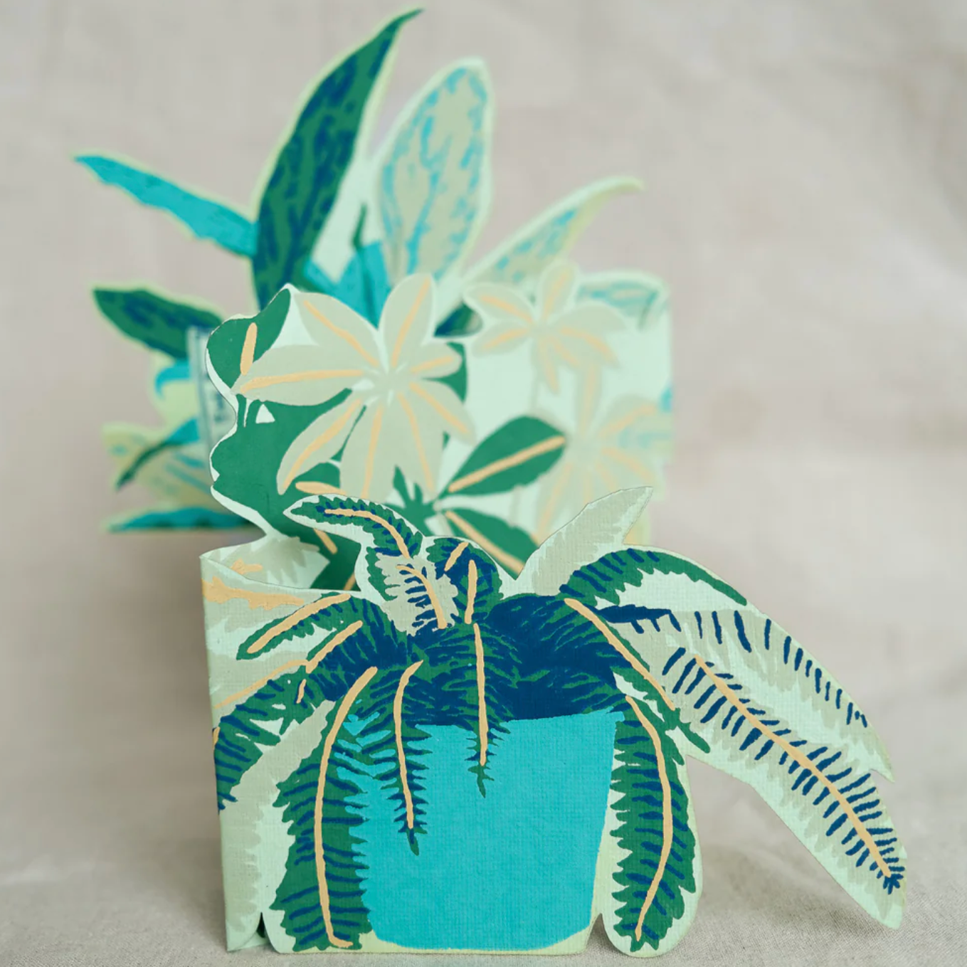 Plant Pot Greeting Card