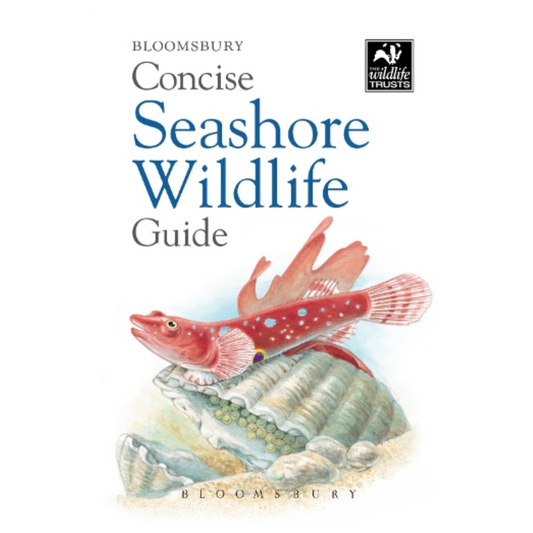 Concise Seashore Wildlife Guide