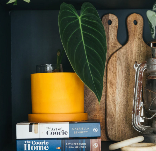 Ocean Plastic Pot - Orange