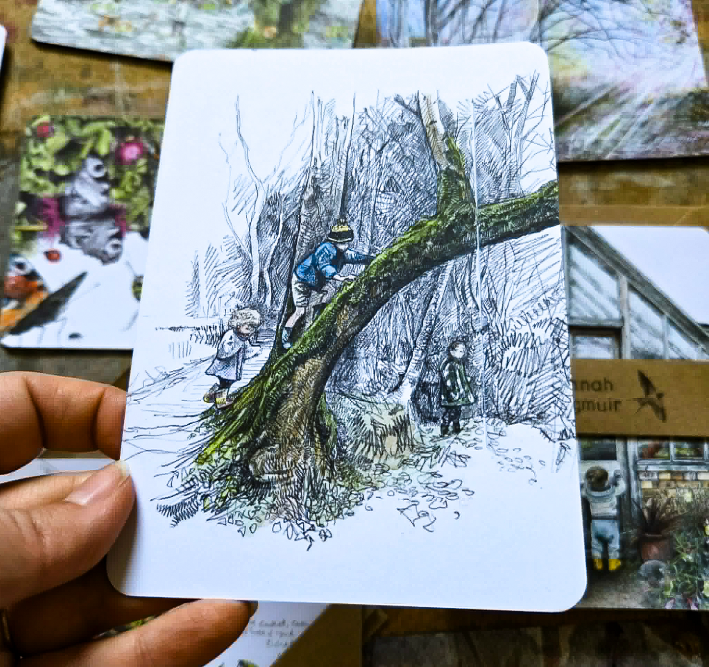 Wild Child Collection - 10 Postcards Pack