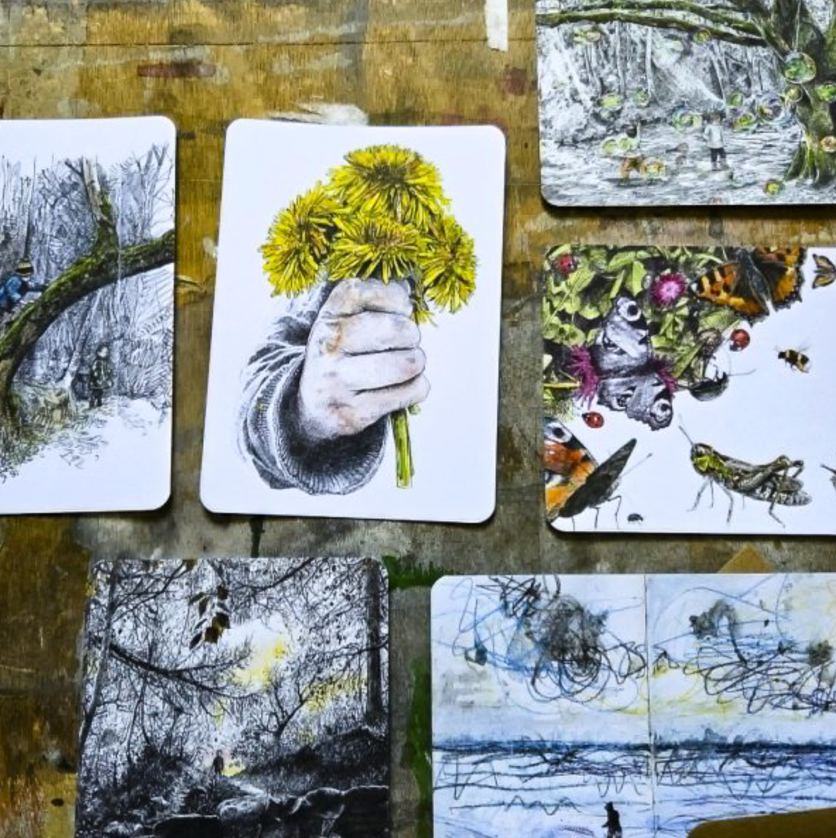 Wild Child Collection - 10 Postcards Pack
