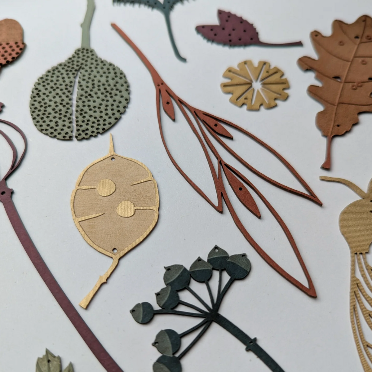 Autumn Treasures