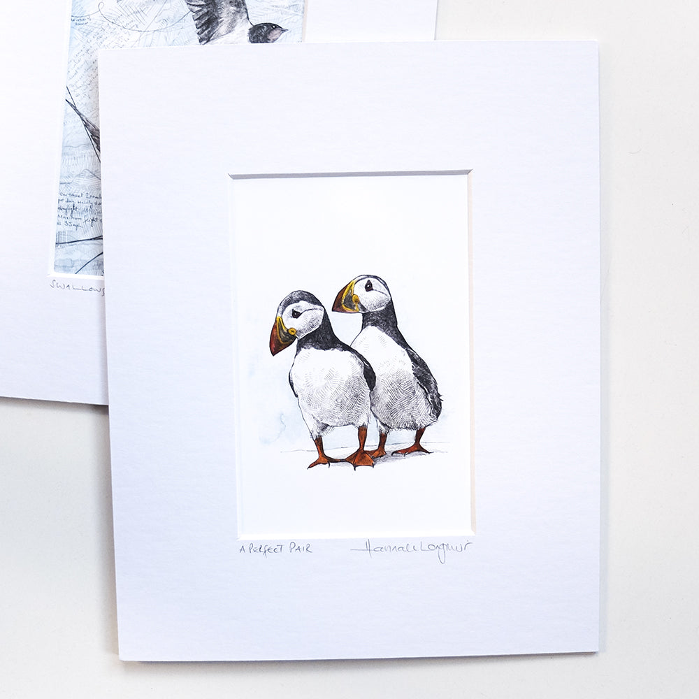 Perfect Pair Puffins Print
