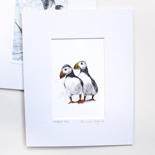 Perfect Pair Puffins Print