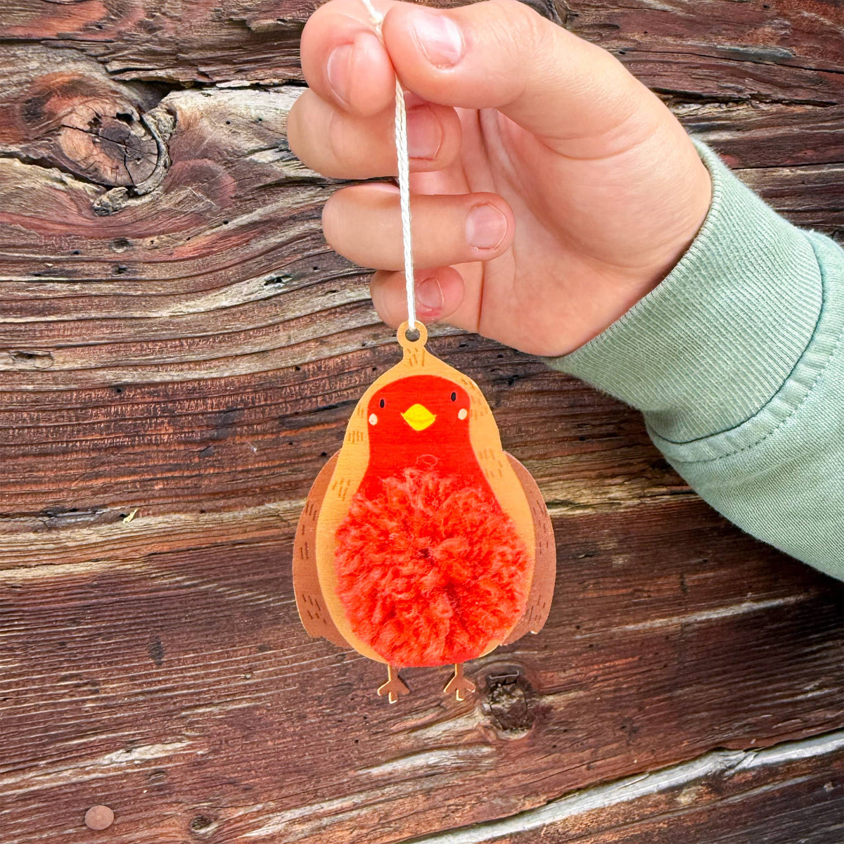 Pom Pom Robin Decoration Kit
