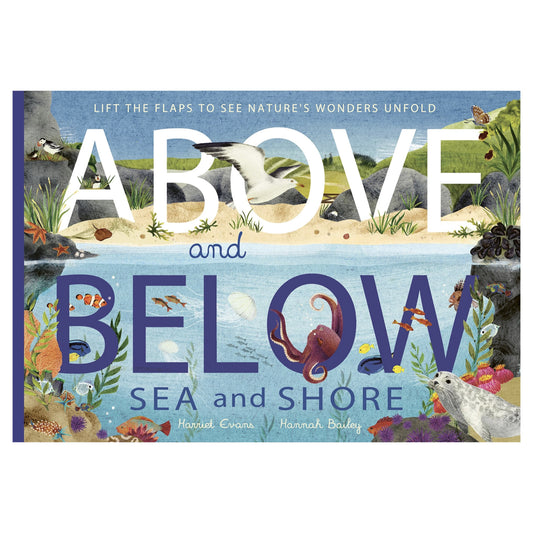 Above and Below - Sea & Shore