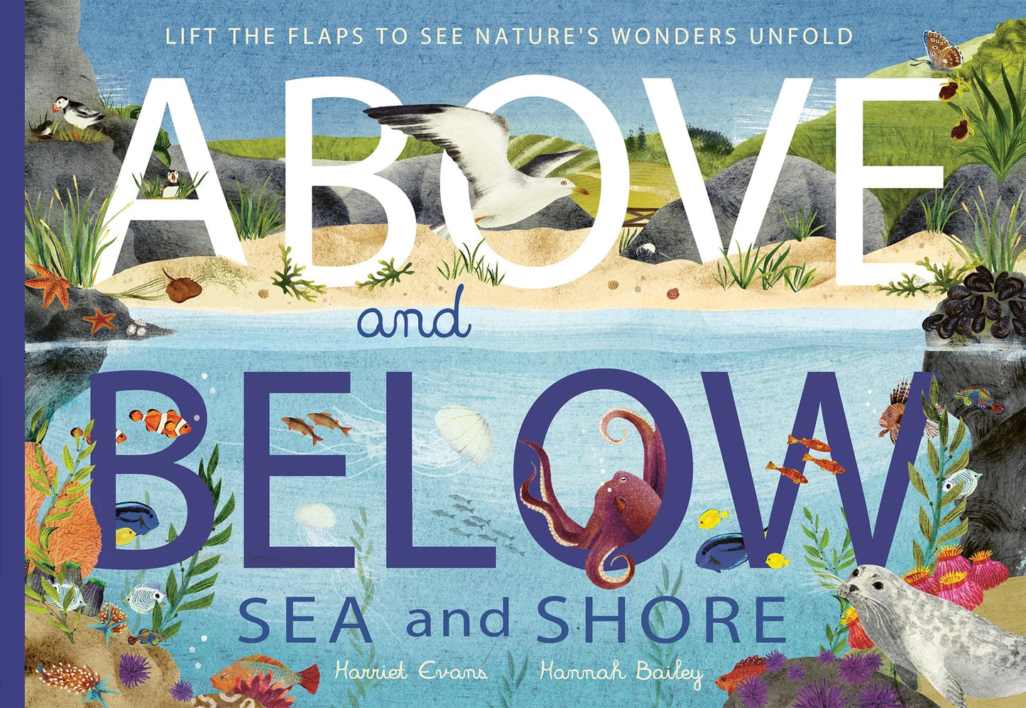 Above and Below - Sea & Shore