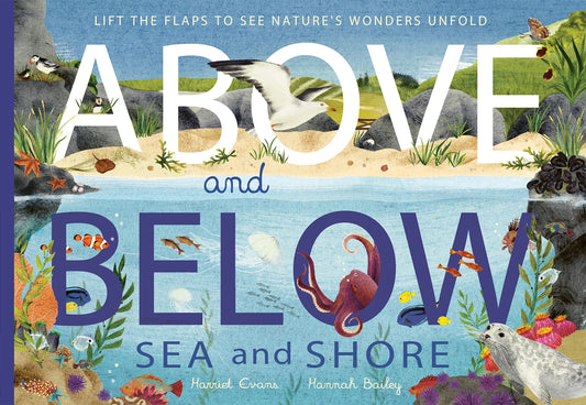 Above and Below - Sea & Shore