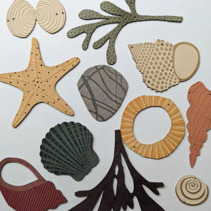 Collection of Seashells and Beach Treasures
