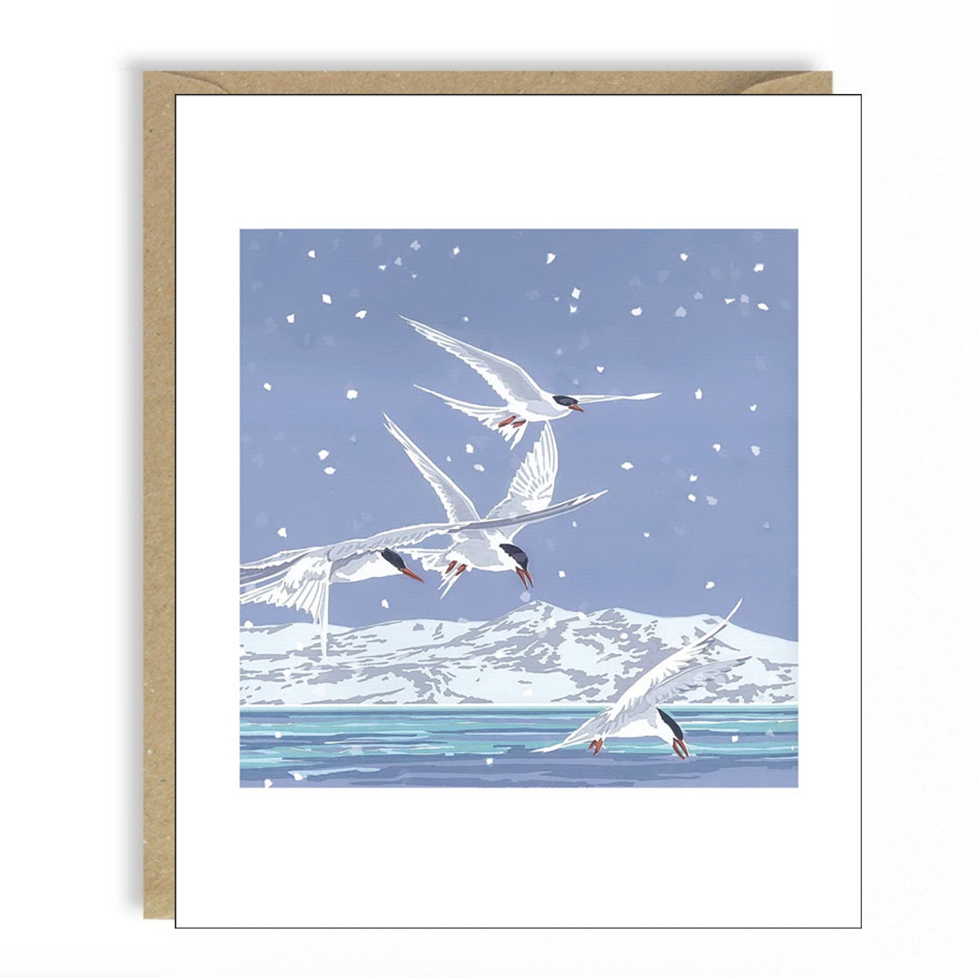 Snowy Terns