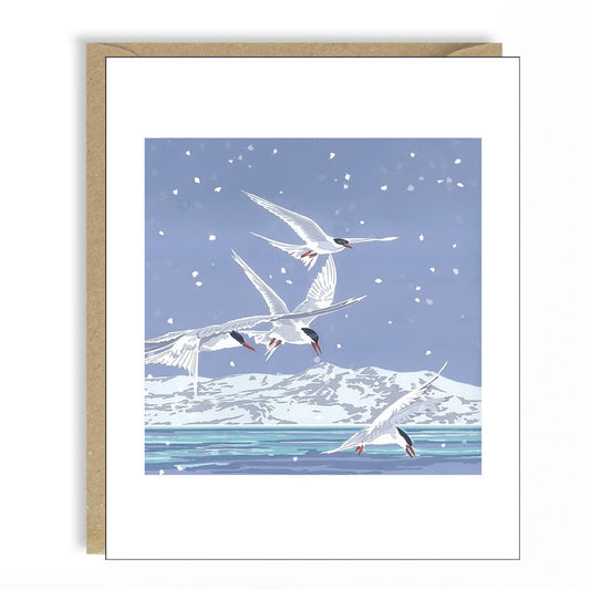 Snowy Terns
