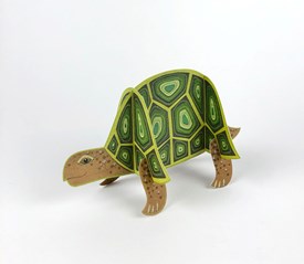 Pop Out Tortoise