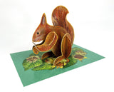 Pop Out Red Squirrel