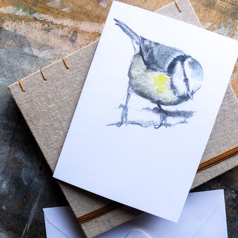 Blue Tit