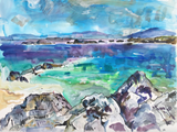Iona Series by Clare Arbuthnott