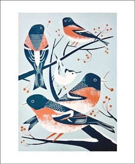 Bramblings and a Nuthatch