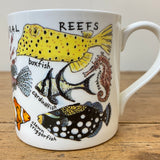 Bone China Mugs