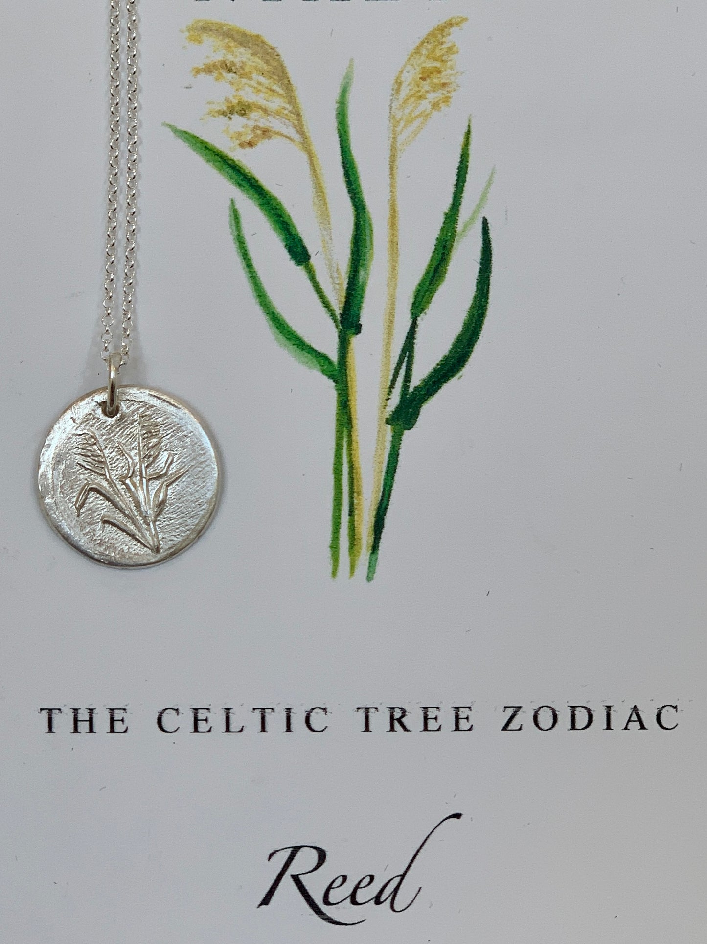 Celtic Tree Zodiac Amulet Necklace