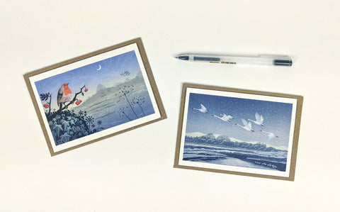 Notecard Pack - Snow Flight and Solstice