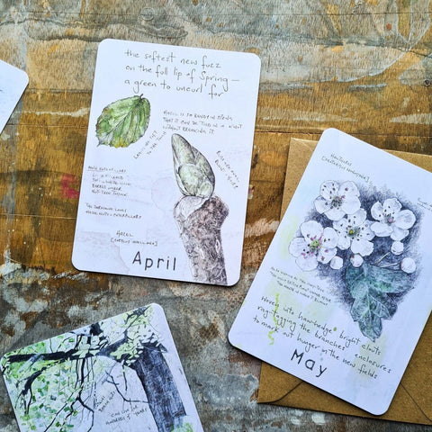 Postcard Pack - Field Notes