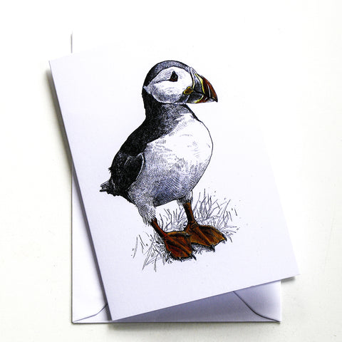 Pat's Puffin
