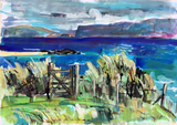 Iona Series by Clare Arbuthnott